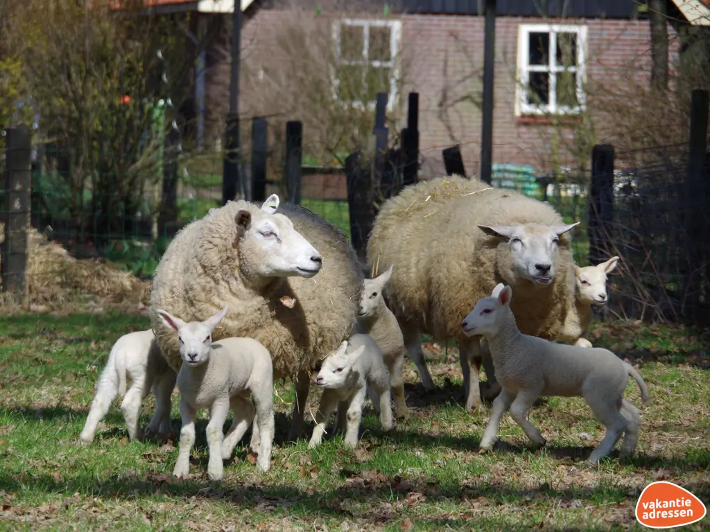 Vakantieadressen accommodatie afbeelding