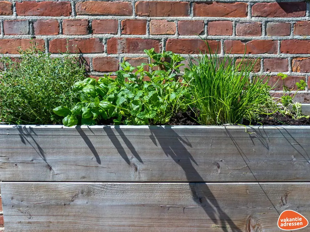 Vakantieadressen accommodatie afbeelding