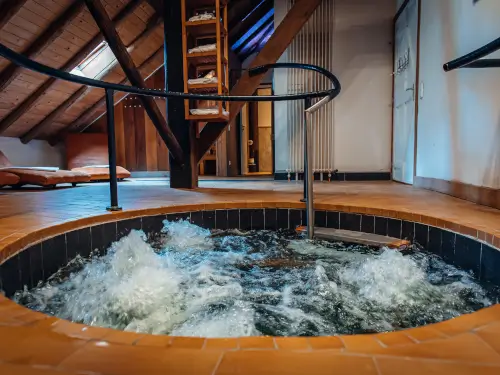 Vakantiehuis met Finse sauna, whirlpool en Turkse sauna