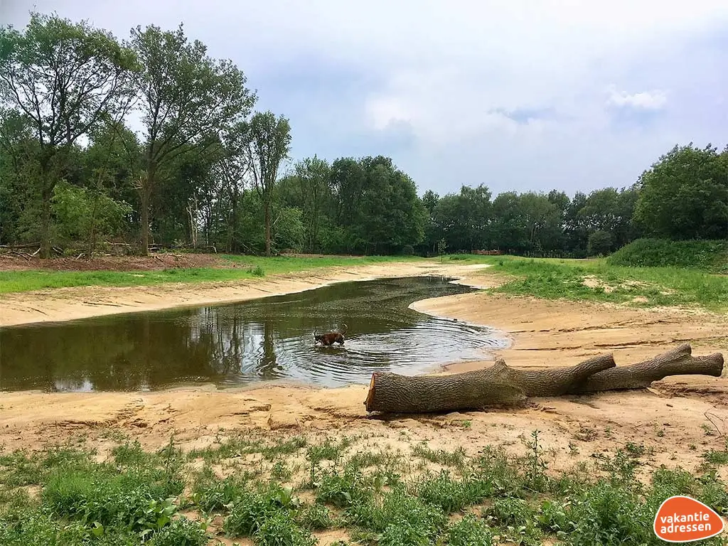 Vakantieadressen accommodatie afbeelding