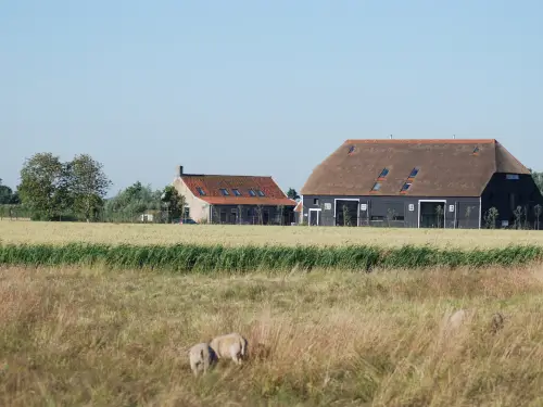 Luxe vakantiehuis met grote tuin nabij zon, zee & strand