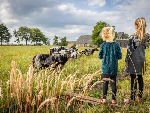 Klassieke vakantiewoning met speelschuur en buitenkachel