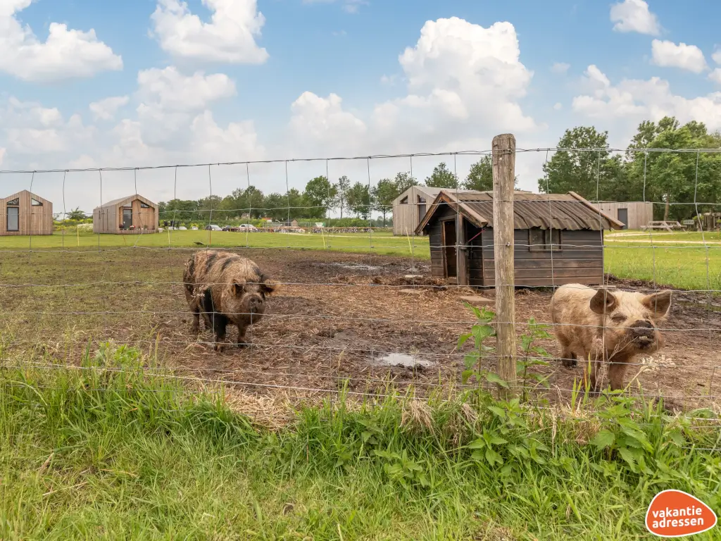 Vakantieadressen accommodatie afbeelding