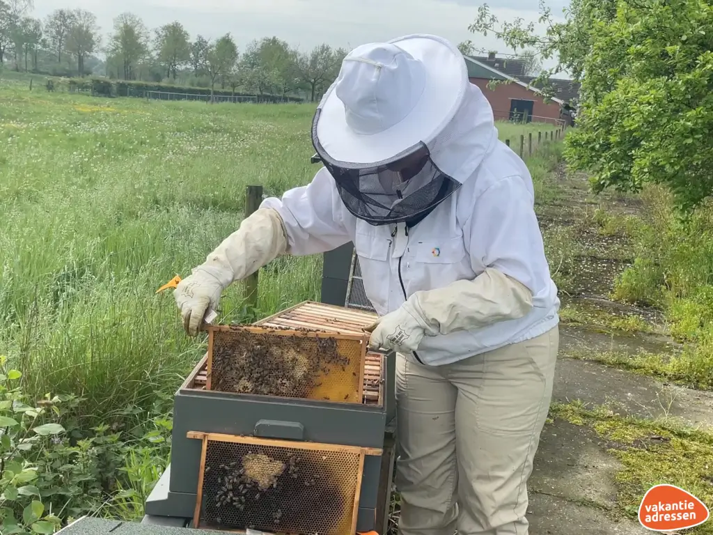 Vakantieadressen accommodatie afbeelding