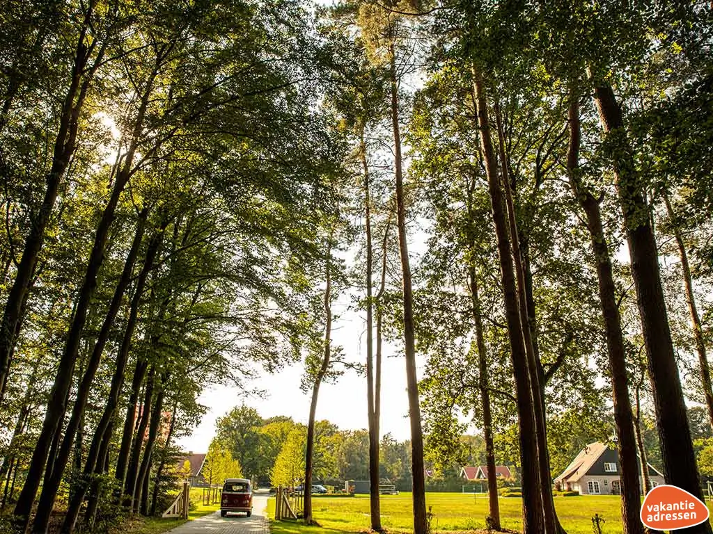 Vakantieadressen accommodatie afbeelding