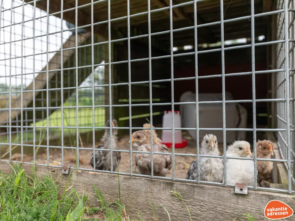 Vakantieadressen accommodatie afbeelding