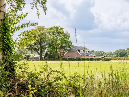 Gezellige accommodatie met BBQ en pizza-oven