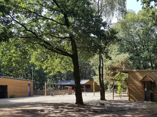 Uniek gelegen vakantieadres midden in de bossen
