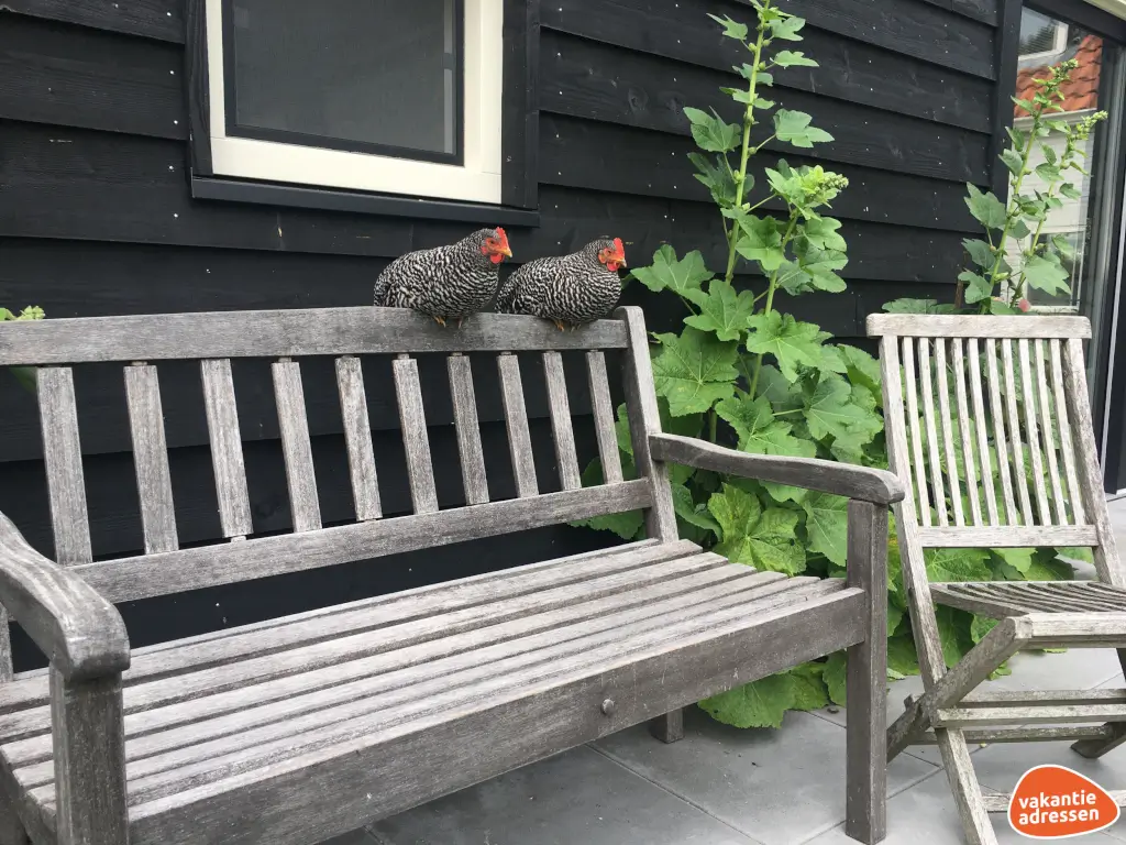 Vakantieadressen accommodatie afbeelding