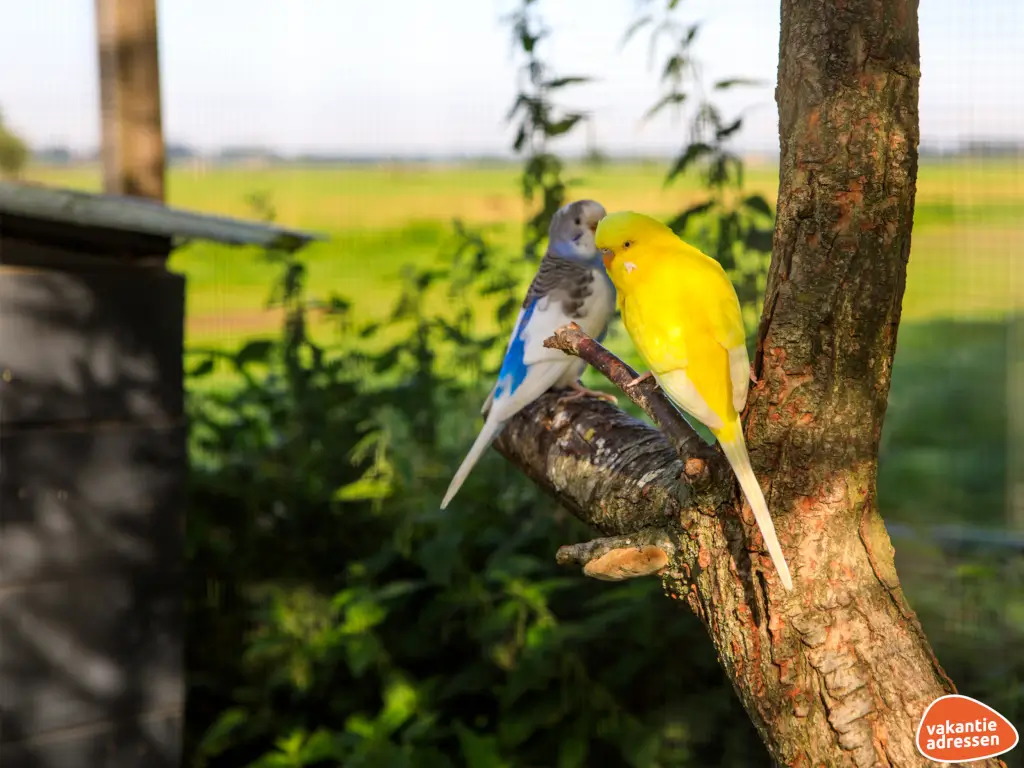 Vakantieadressen accommodatie afbeelding