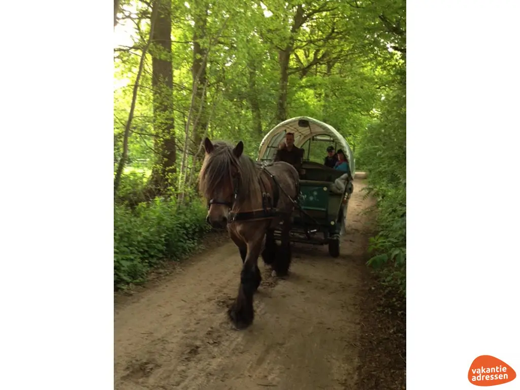 Vakantieadressen accommodatie afbeelding