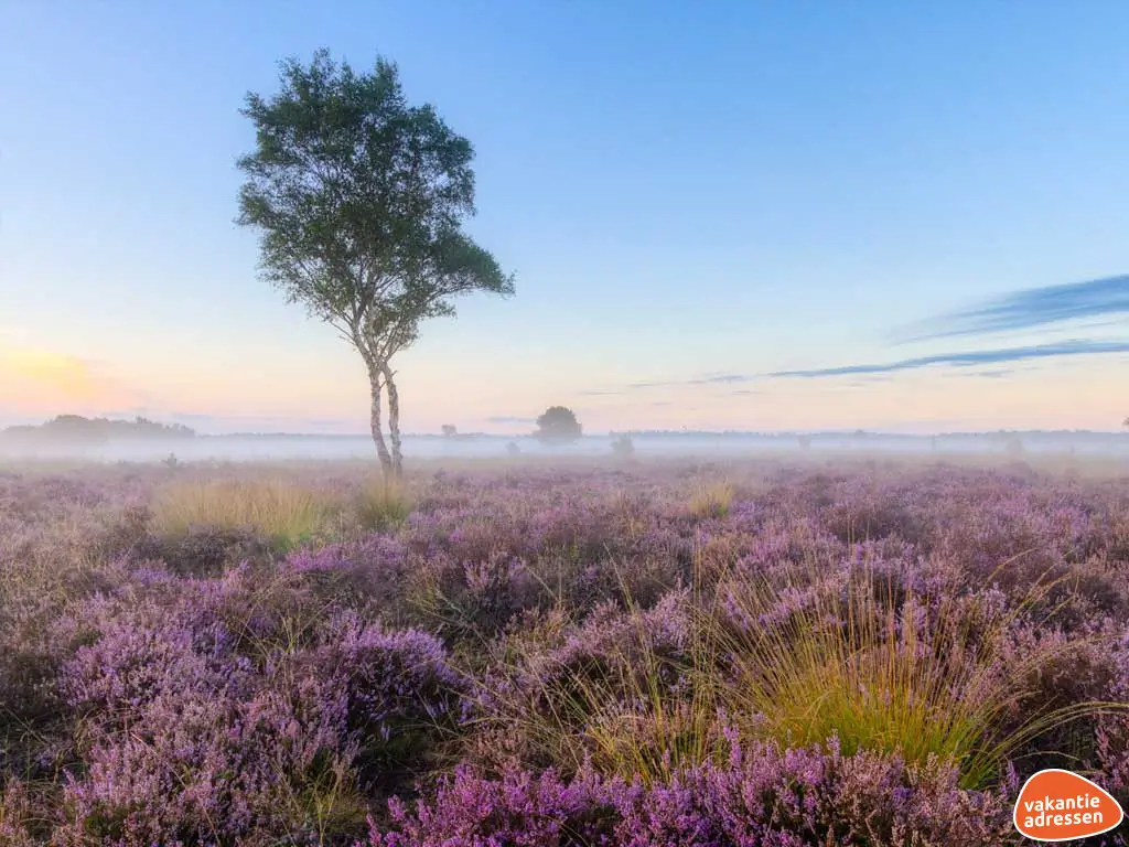 Vakantieadressen accommodatie afbeelding