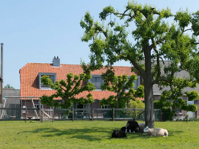 Vakantieadressen accommodatie afbeelding