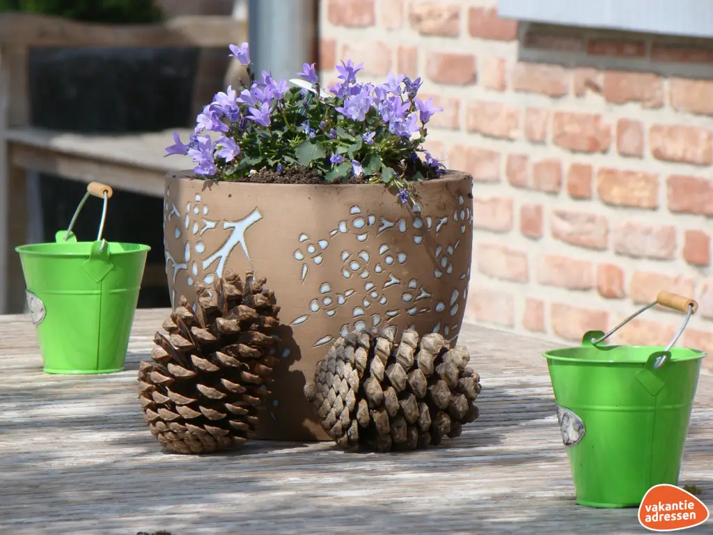 Vakantieadressen accommodatie afbeelding