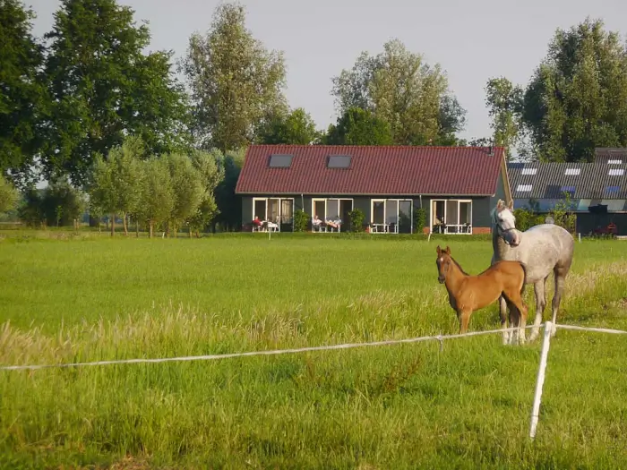 Vakantieadressen accommodatie afbeelding