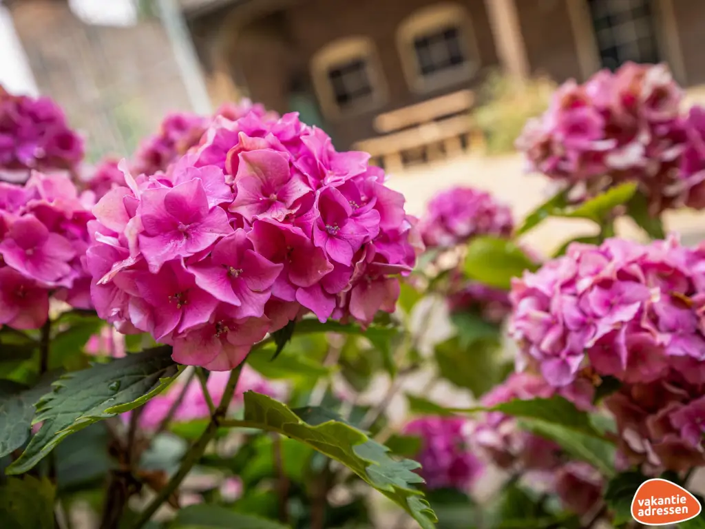 Vakantieadressen accommodatie afbeelding