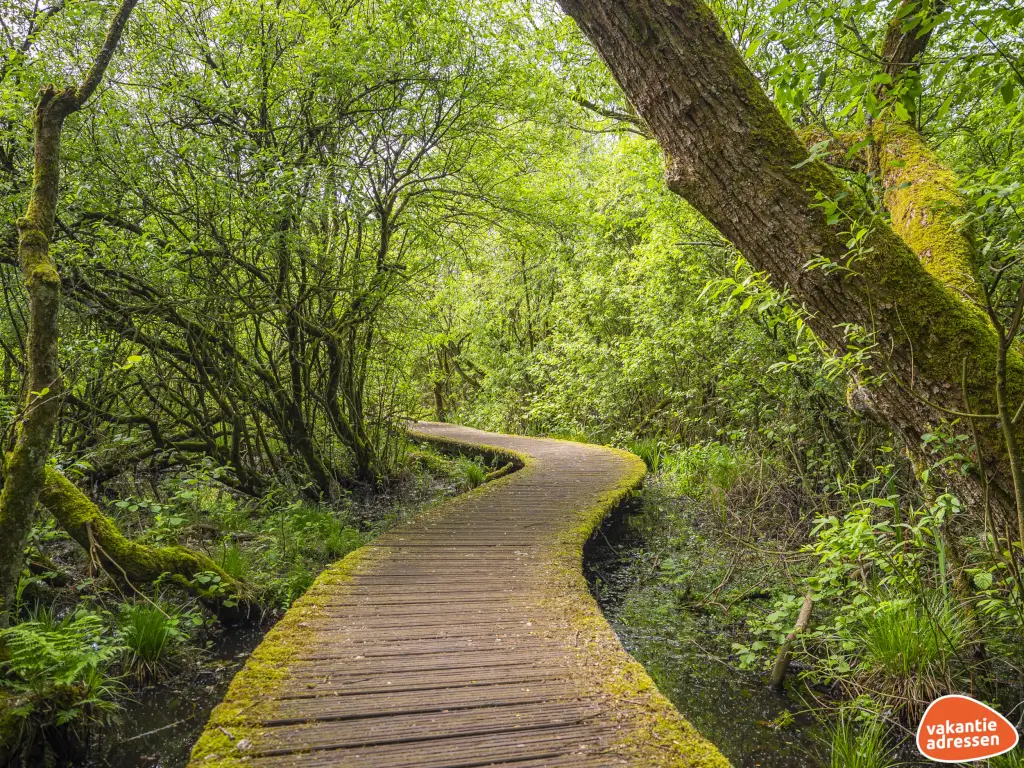 Vakantieadressen accommodatie afbeelding