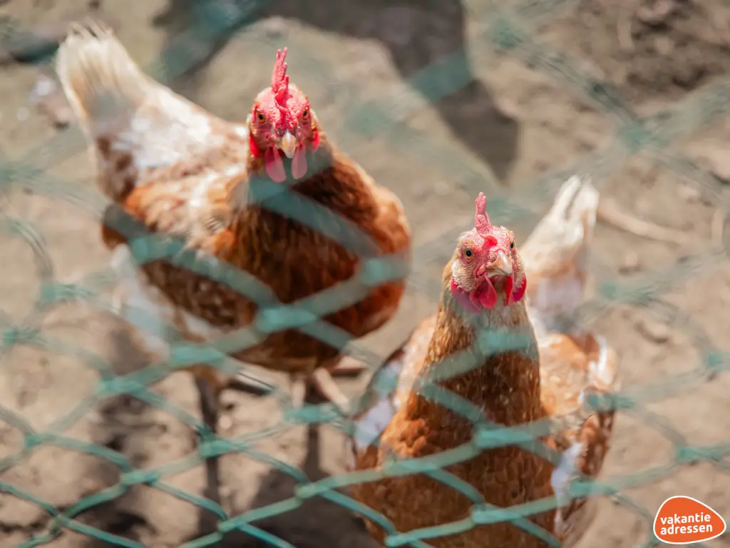 Vakantieadressen accommodatie afbeelding