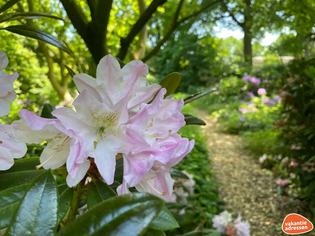 Vakantieadressen accommodatie afbeelding