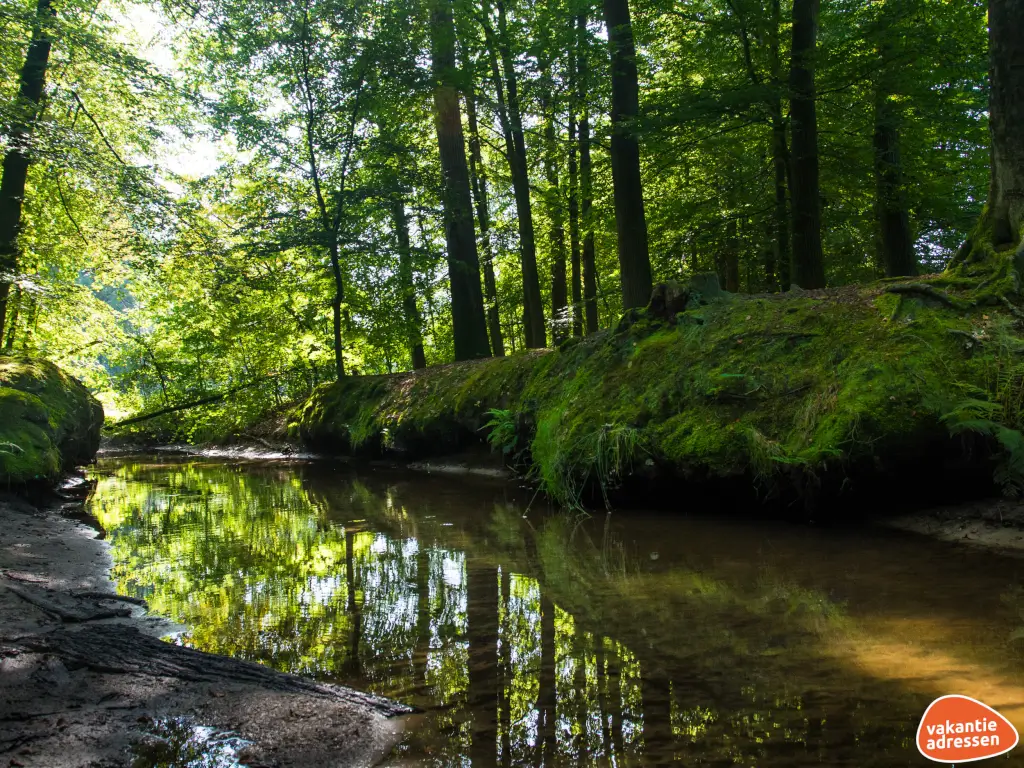 Vakantieadressen accommodatie afbeelding