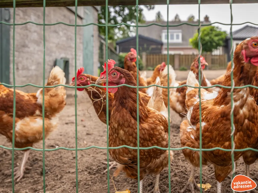 Vakantieadressen accommodatie afbeelding