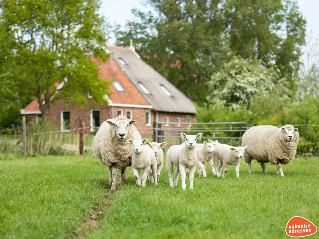 Vakantieadressen accommodatie afbeelding