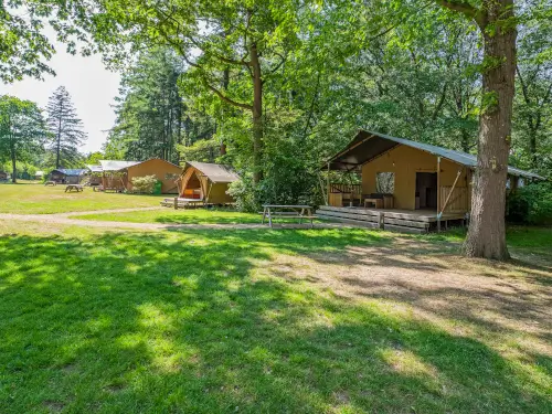 Groepsaccommodatie met 3 lodges en 2 hottubs
