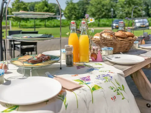 Luxe vakantieadres in Hof van Twente - incl. ontbijt