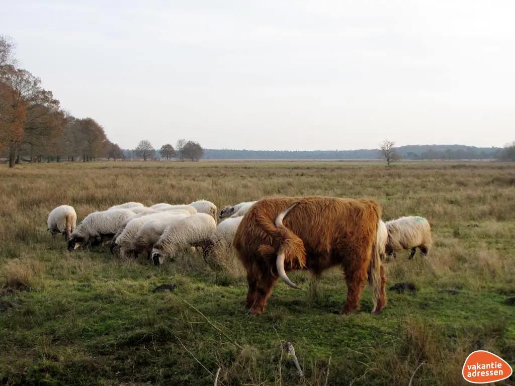 Vakantieadressen accommodatie afbeelding