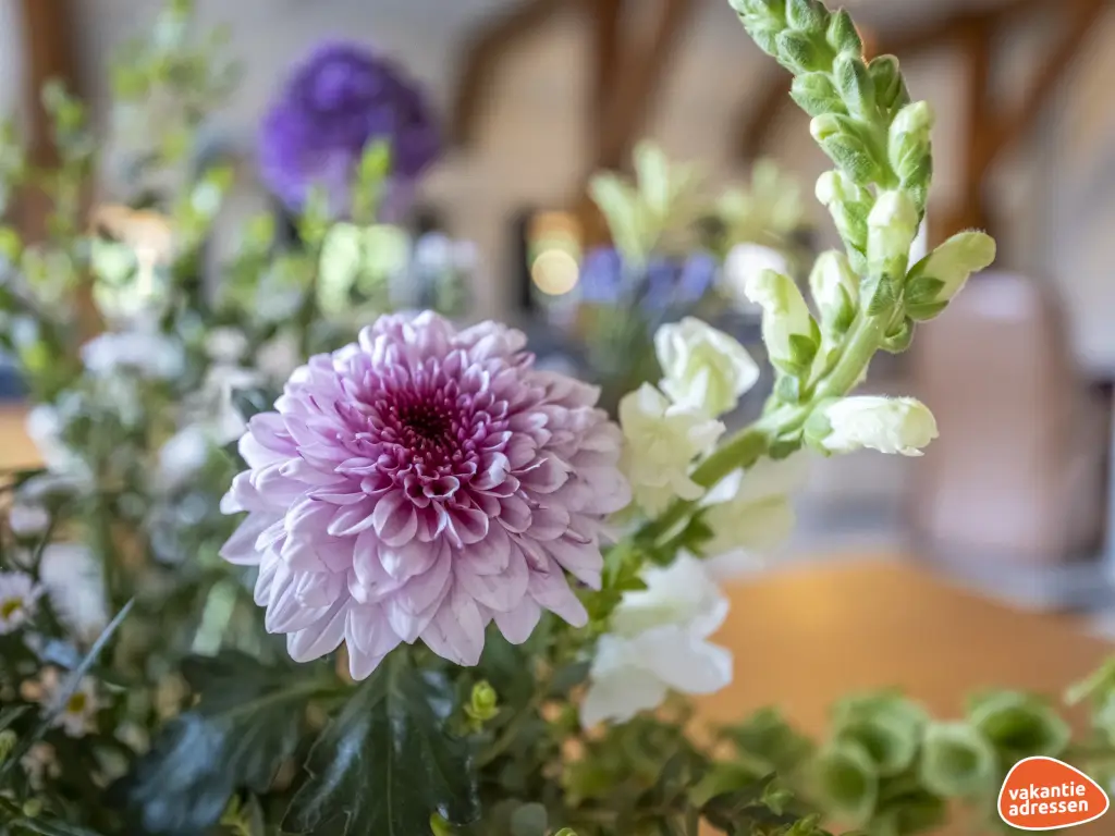 Vakantieadressen accommodatie afbeelding