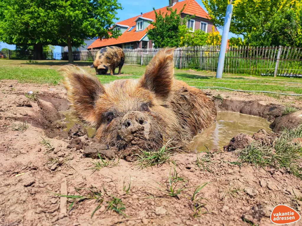 Vakantieadressen accommodatie afbeelding