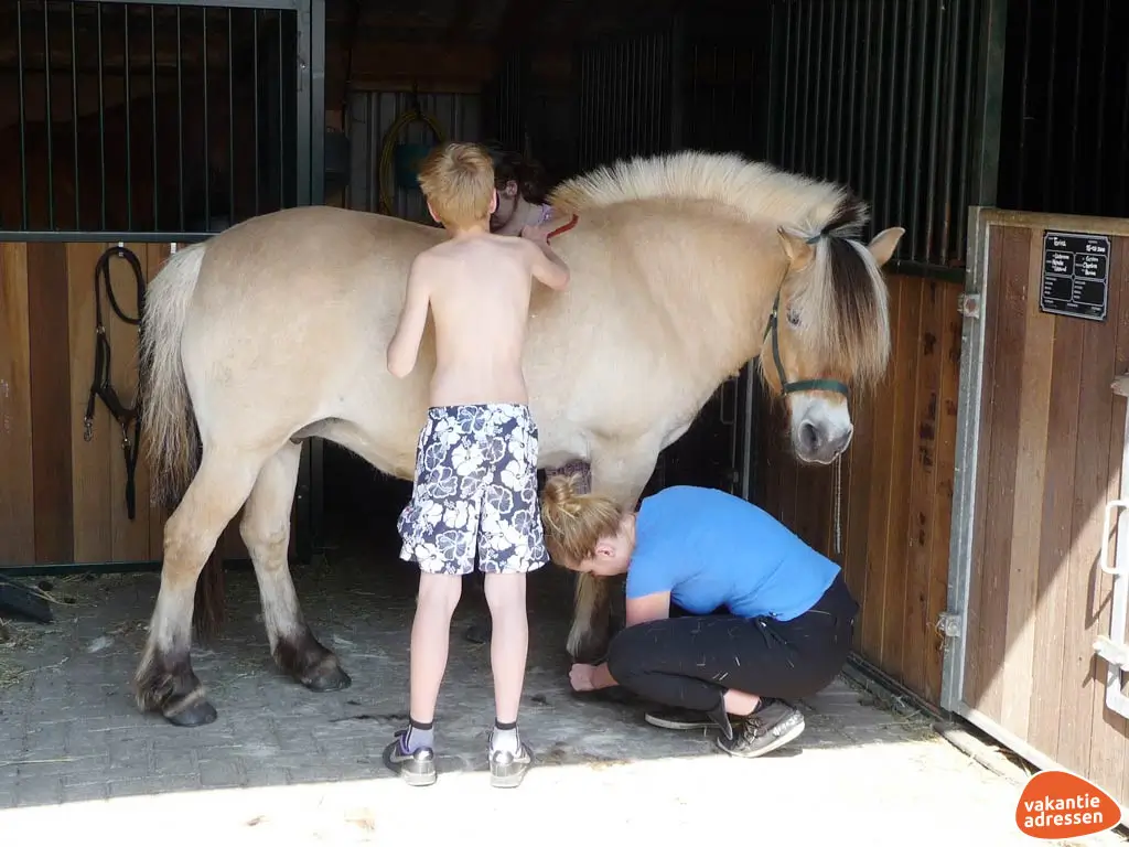 Vakantieadressen accommodatie afbeelding