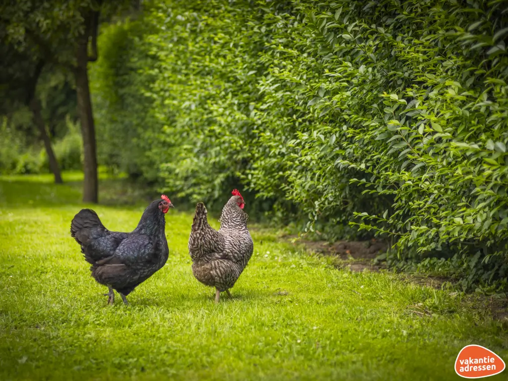 Vakantieadressen accommodatie afbeelding